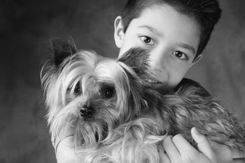 Boy and Dog - Give your dog or cat the royal treatment at our pet grooming shop in Phelan, California, where youýýýýýýll find the best services, pet supplies, and pet food around.